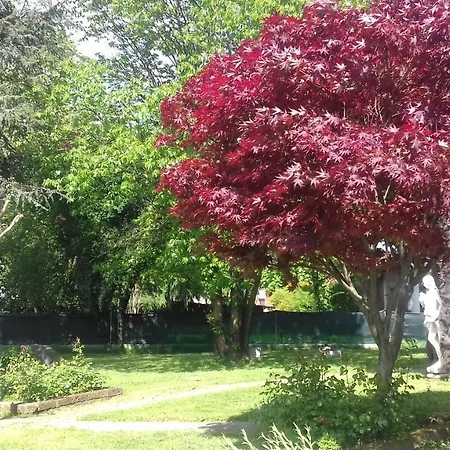 Dei Limoni Bed & Breakfast